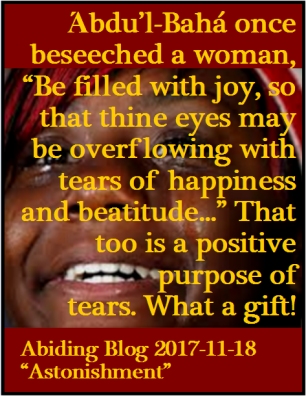 'Abdu'l-Baha once beseeched a woman, "Be filled with joy, so that thine eyes may be overflowing with tears of happiness and beatitude..." That too is a positive purpose of tears. What a gift! #Joy #TearsOfJoy #AbidingBlog2017Astonishment
